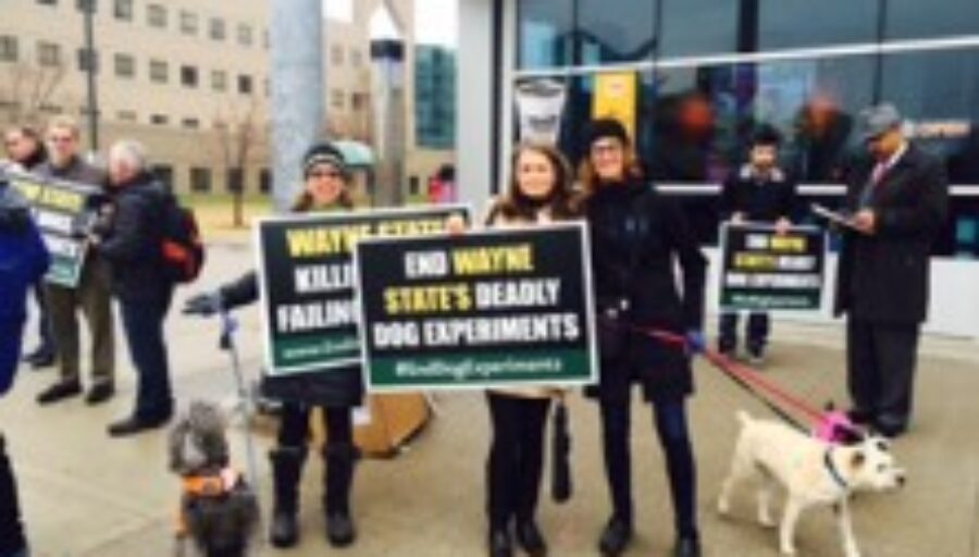 Wayne State’s Deadly Dog Experiments
